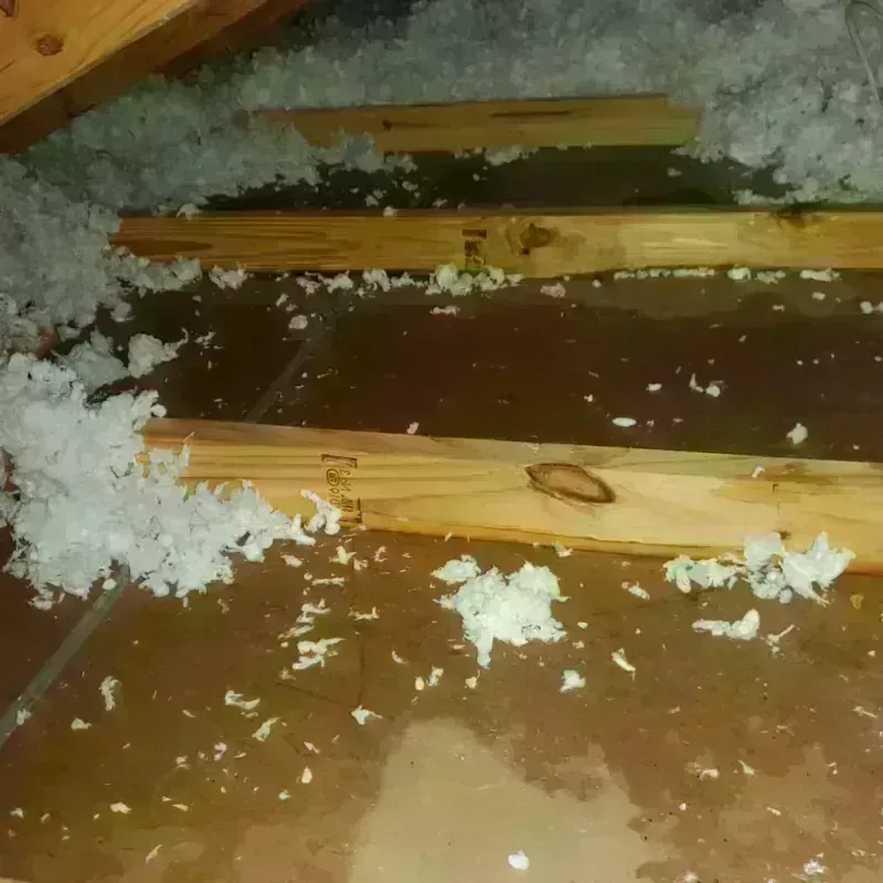 Attic Water Damage in Groton, SD