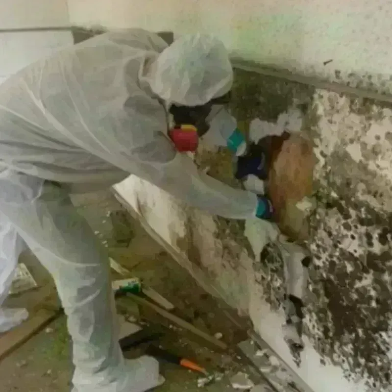 Mold Remediation and Removal in Groton, SD