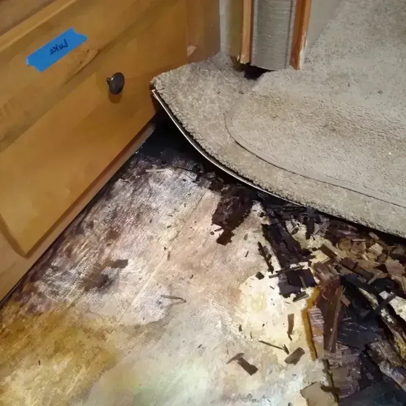 Wood Floor Water Damage in Groton, SD